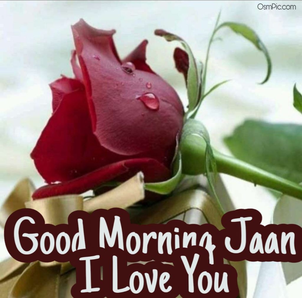 Good Morning Jaan Wallpapers