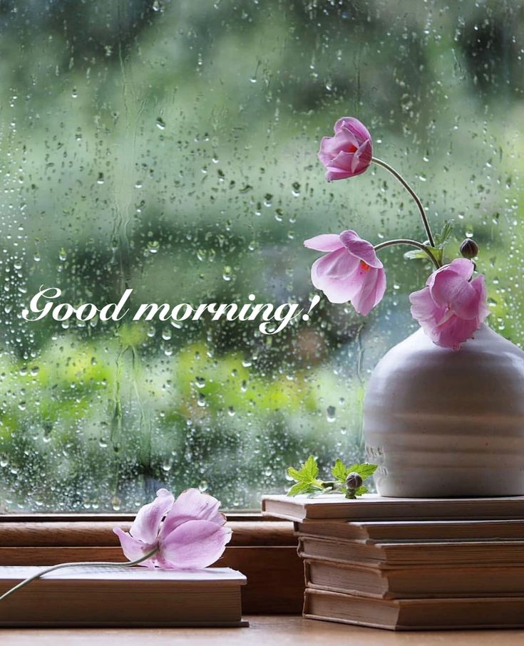 Good Morning Rainy Day Images Wallpapers