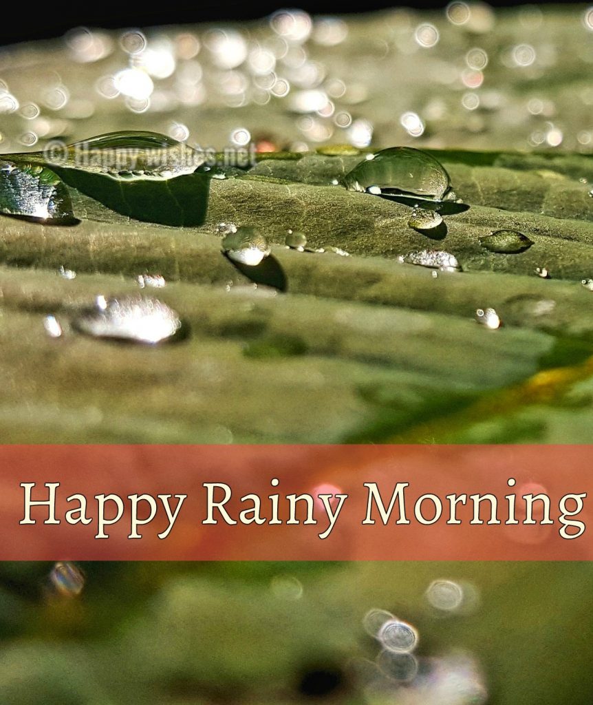 Good Morning Rainy Day Images Wallpapers