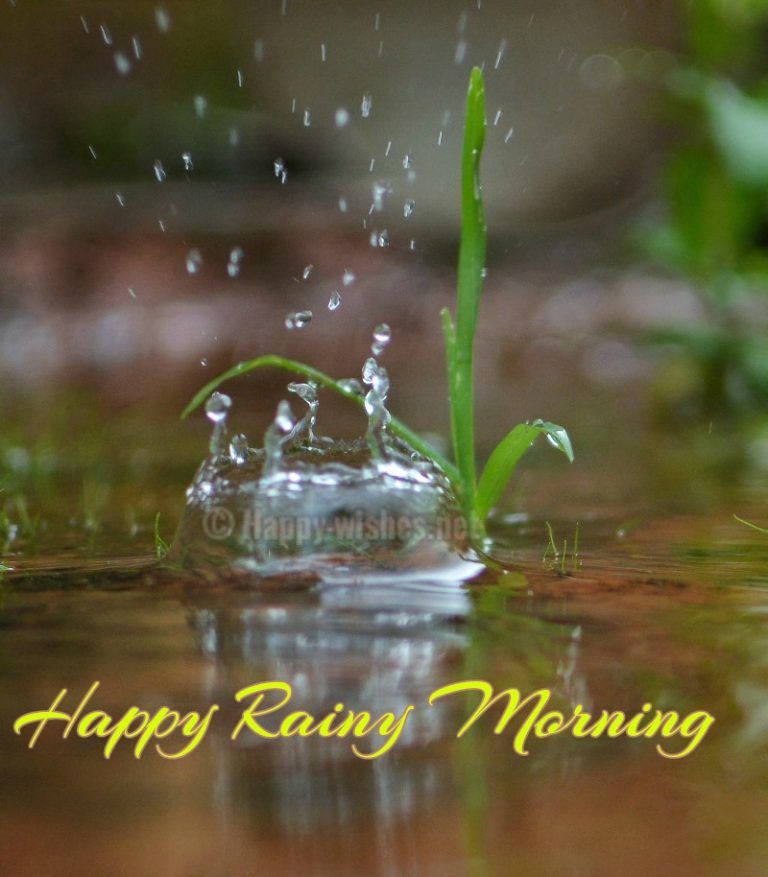 Good Morning Rainy Day Images Wallpapers