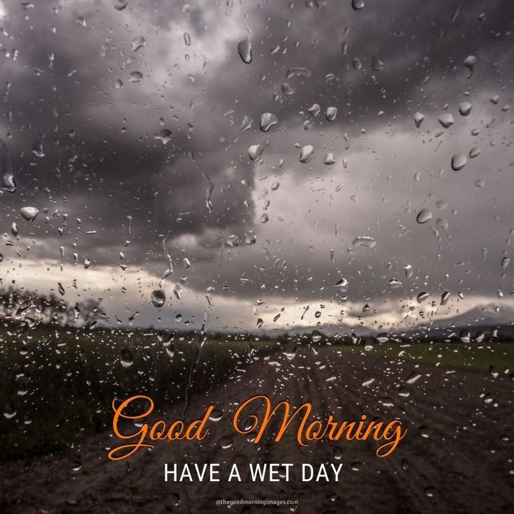 Good Morning Rainy Day Images Wallpapers