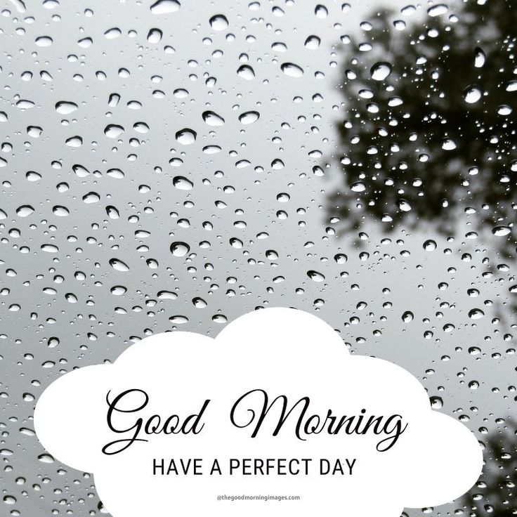 Good Morning Rainy Day Images Wallpapers