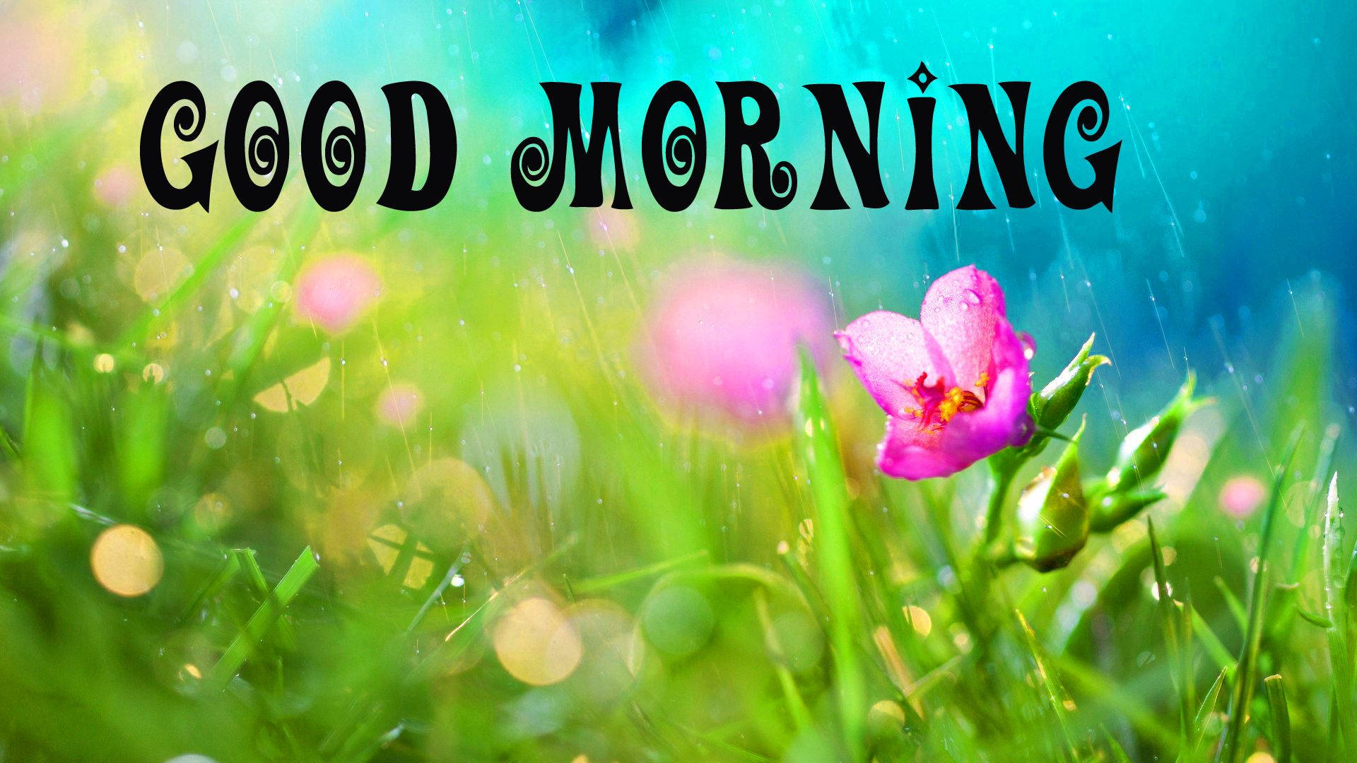 Good Morning Rainy Day Images Wallpapers