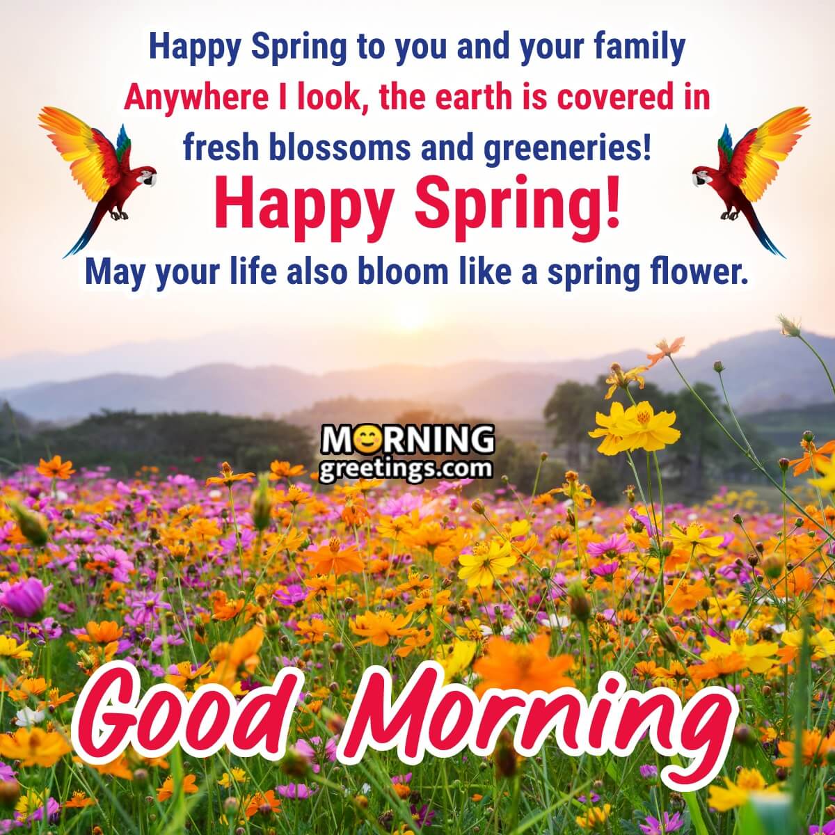 Good Morning Spring Images Wallpapers