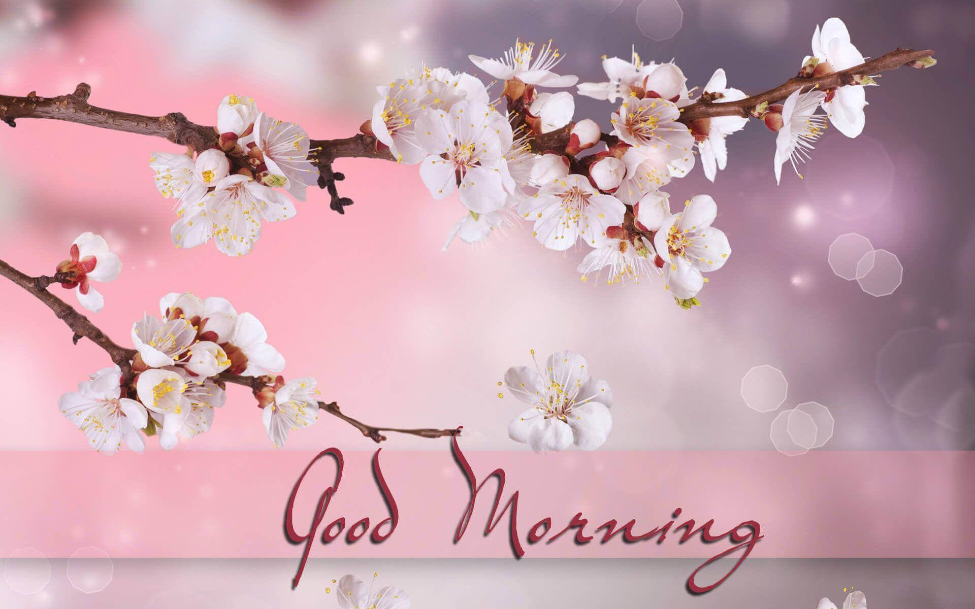 Good Morning Spring Images Wallpapers