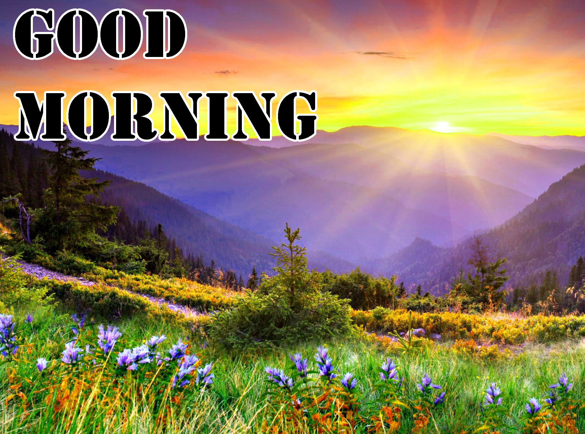 Good Morning Spring Images Wallpapers