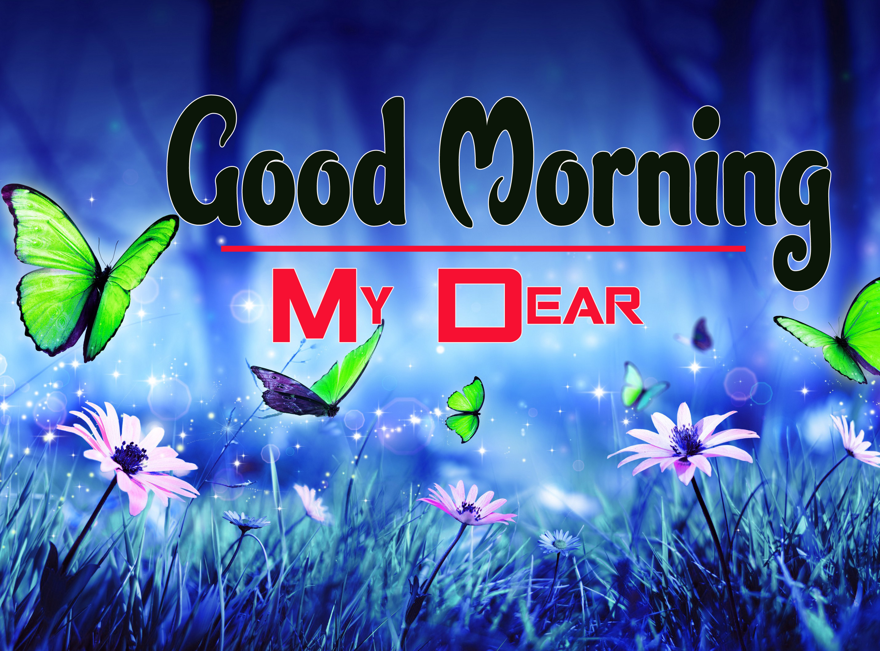 Good Morning Spring Images Wallpapers