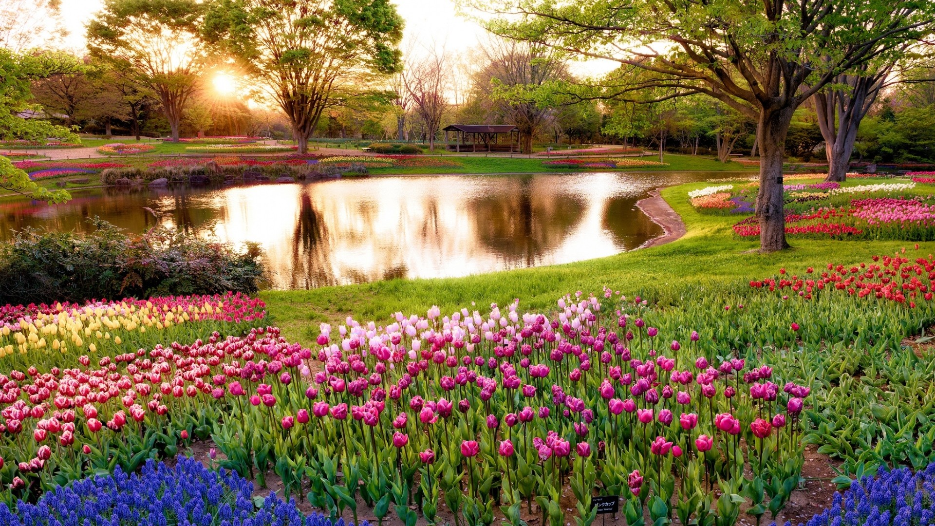 Good Morning Spring Images Wallpapers