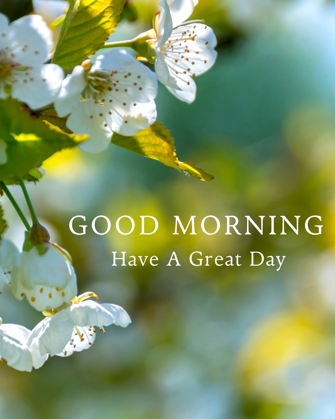 Good Morning Spring Images Wallpapers