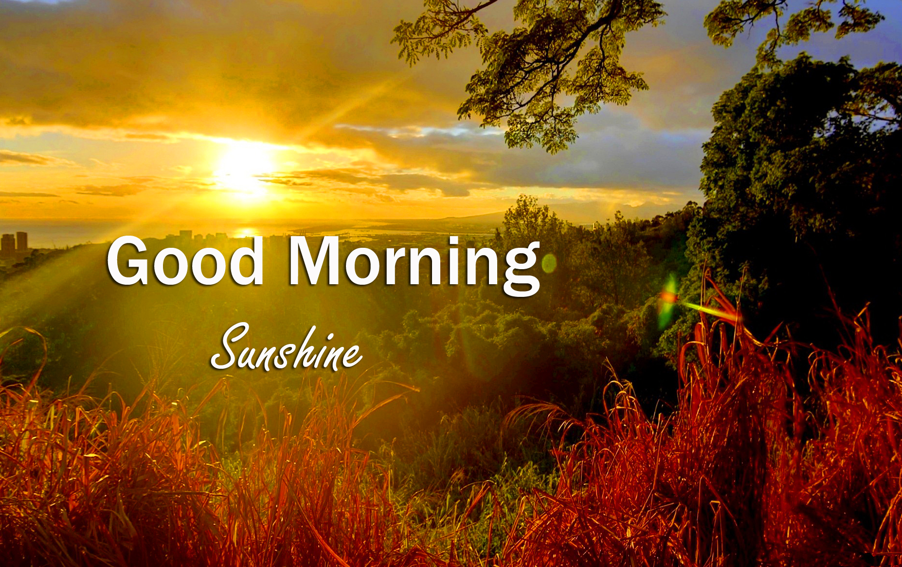 Good Morning Sunshine Pictures Wallpapers