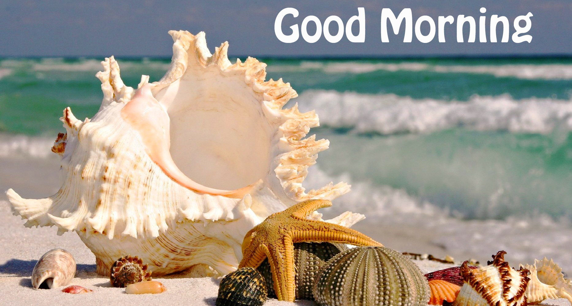 Good Morning Sunshine Pictures Wallpapers