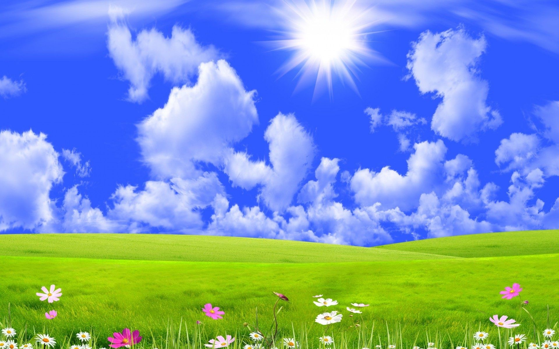 Good Morning Sunshine Pictures Wallpapers