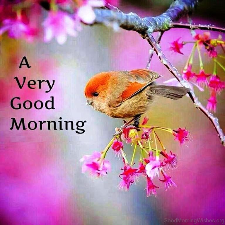 Goodmorning Beautiful Pics Wallpapers