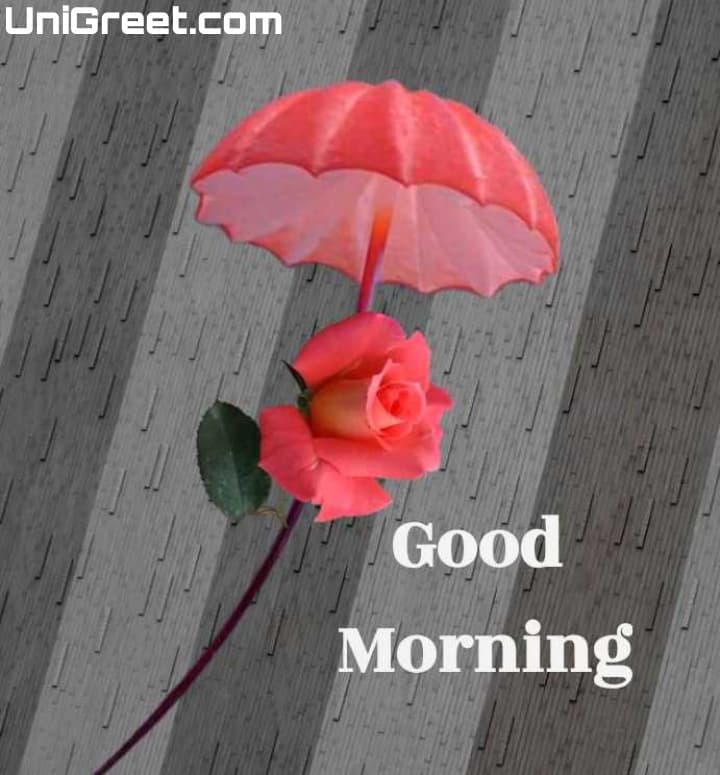 Goodmorning Beautiful Pics Wallpapers