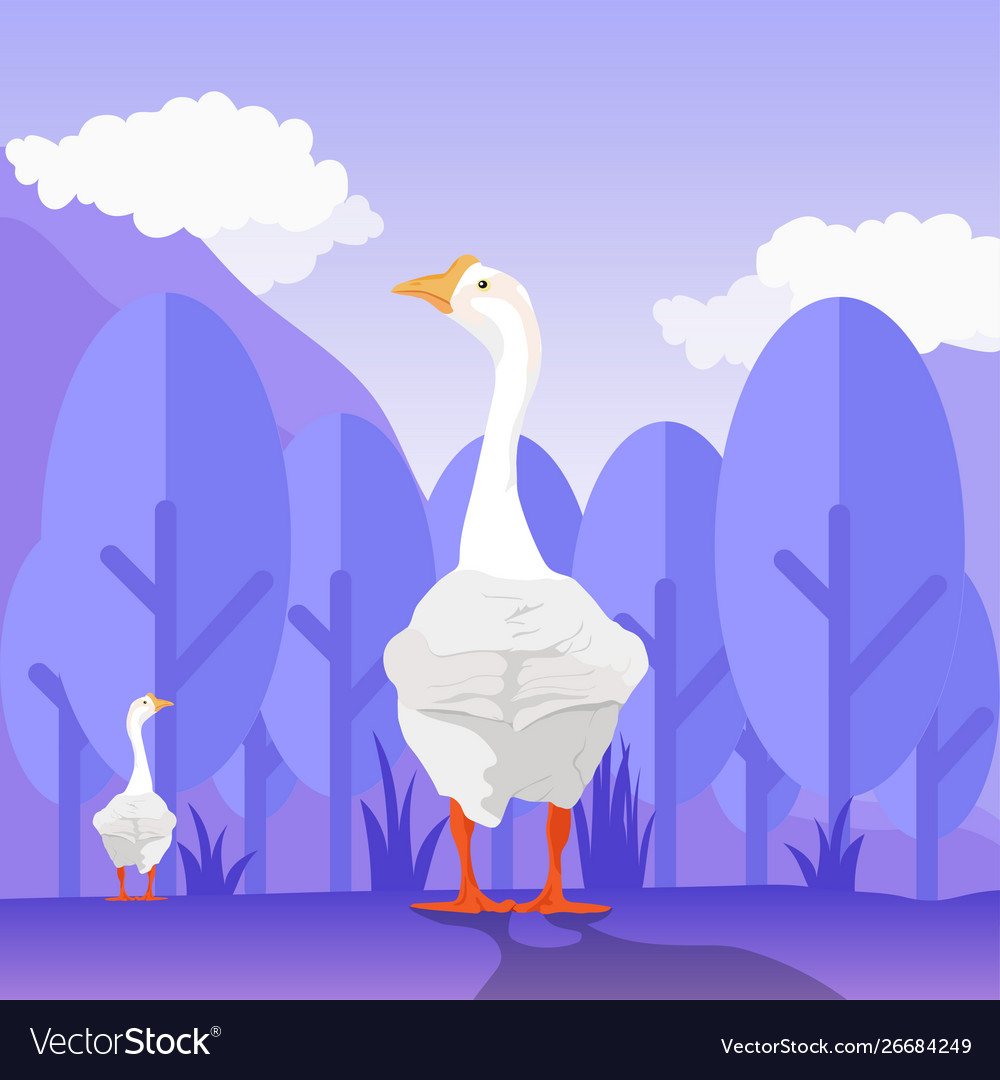 Goose Wallpapers