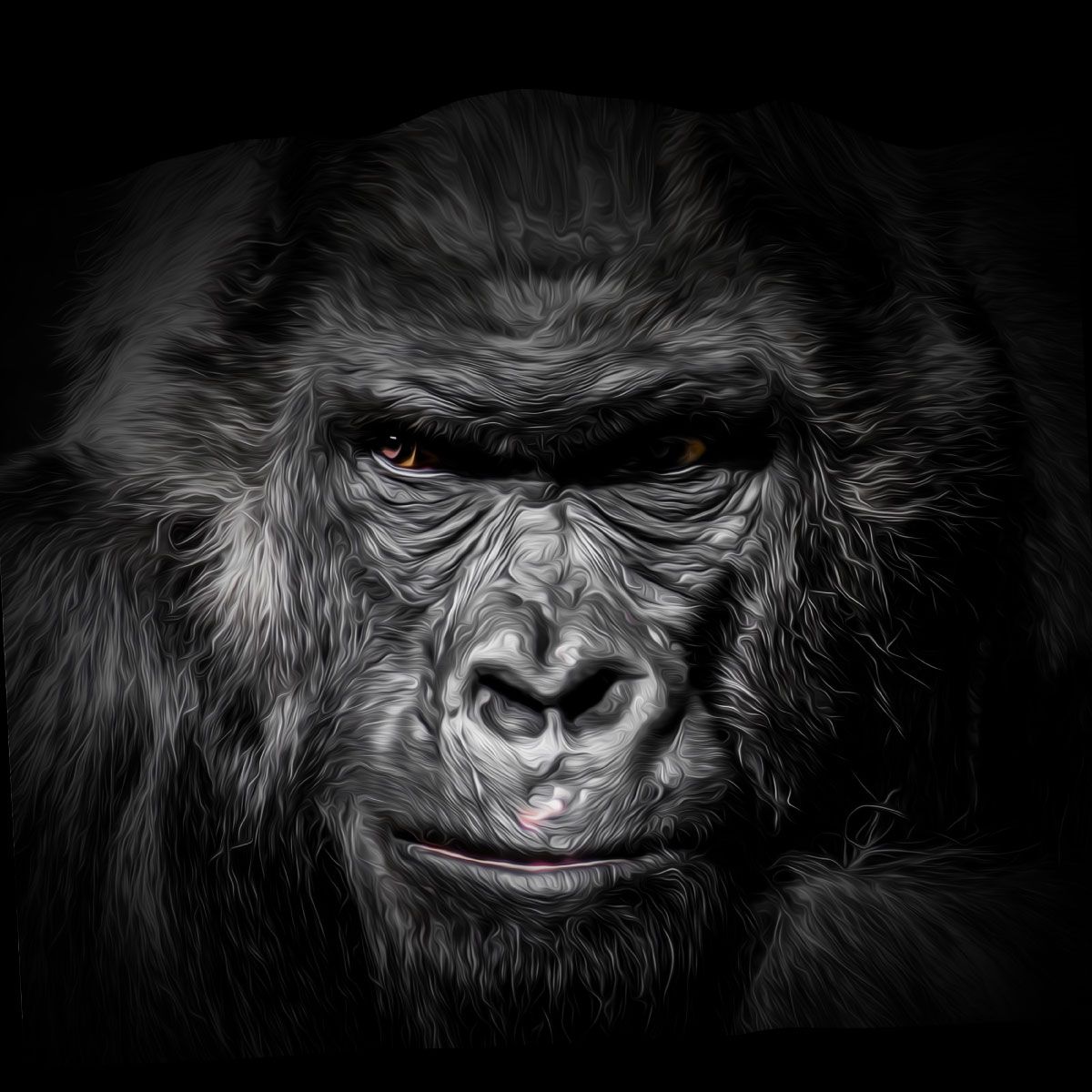 Gorilla Wallpapers