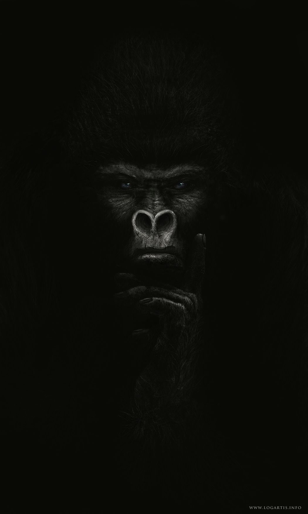 Gorilla Wallpapers