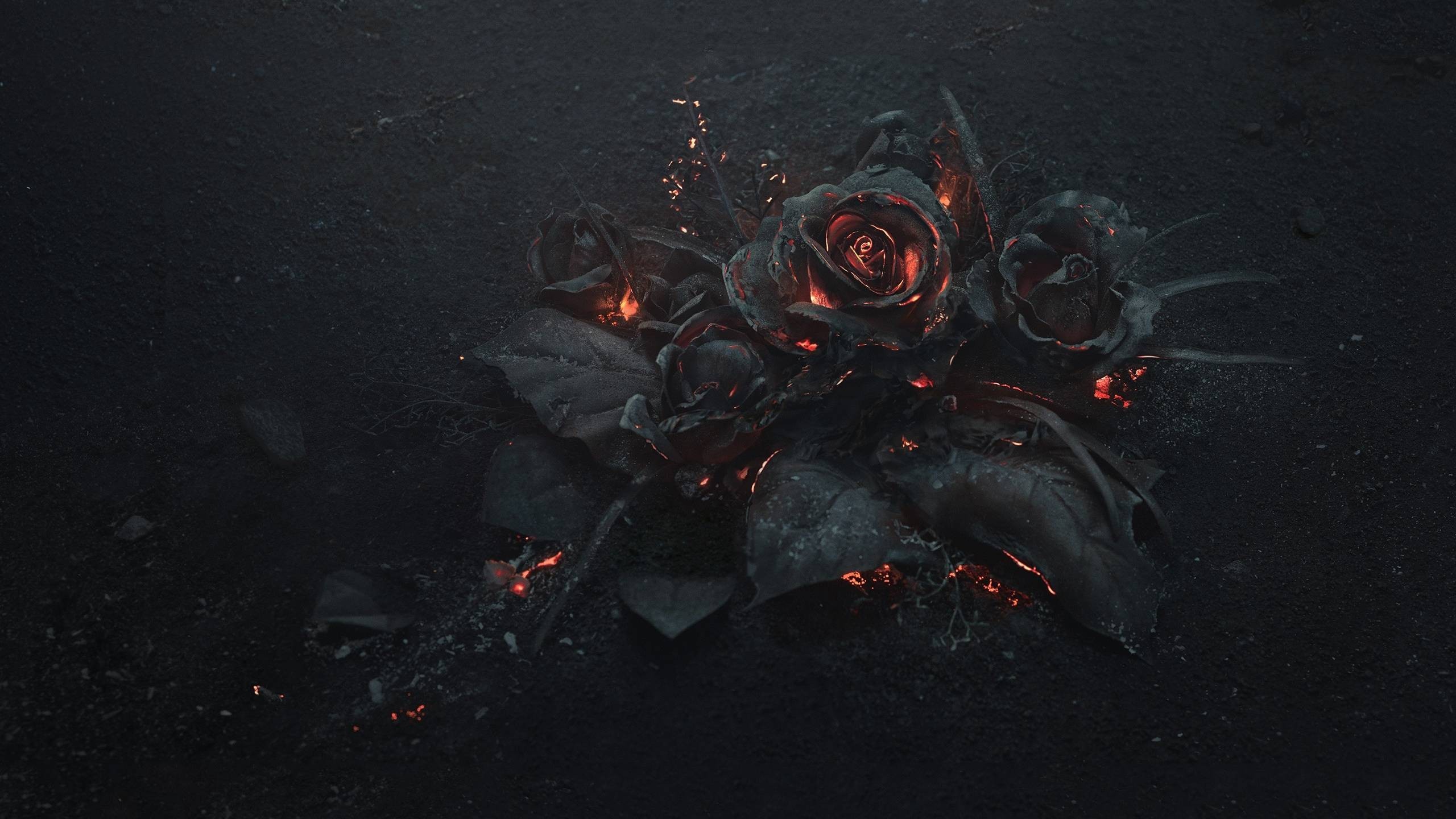 Gothic Black And Red Rose Wallpapers