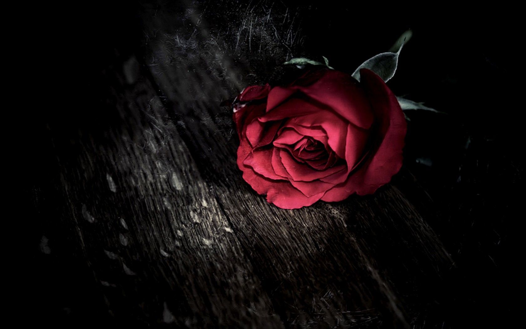 Gothic Rose Background