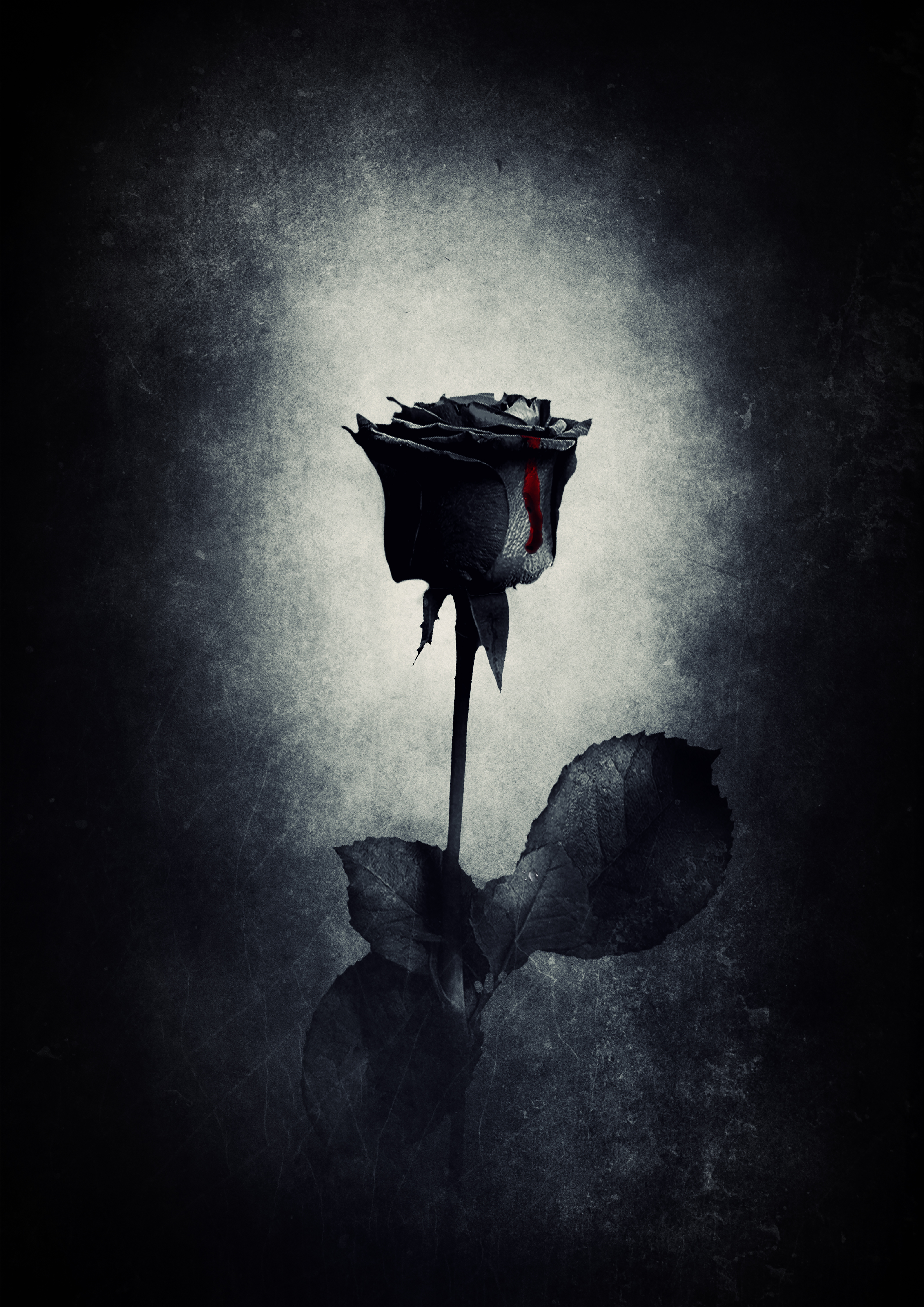 Gothic Rose Background