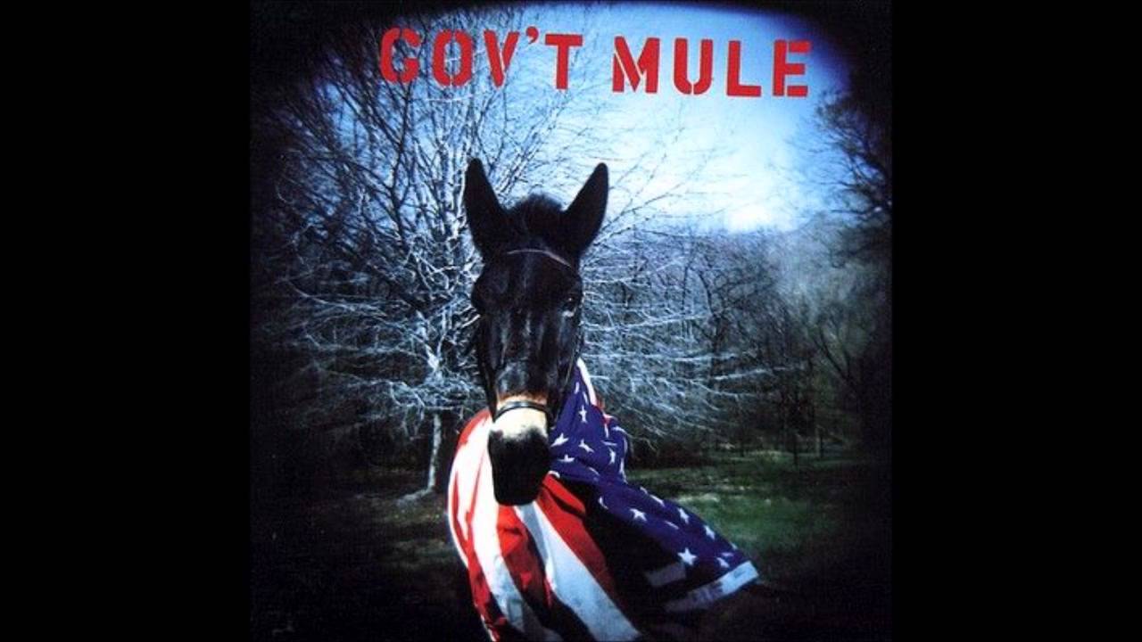 Gov'T Mule Wallpapers