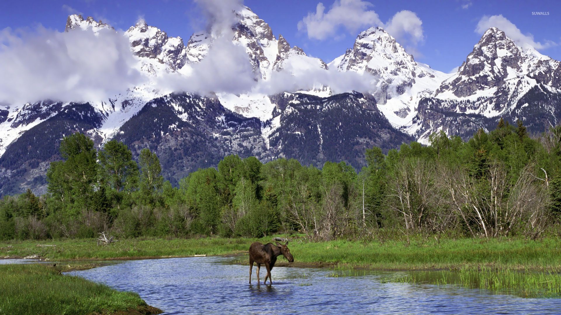 Grand Teton National Park 5K Wallpapers