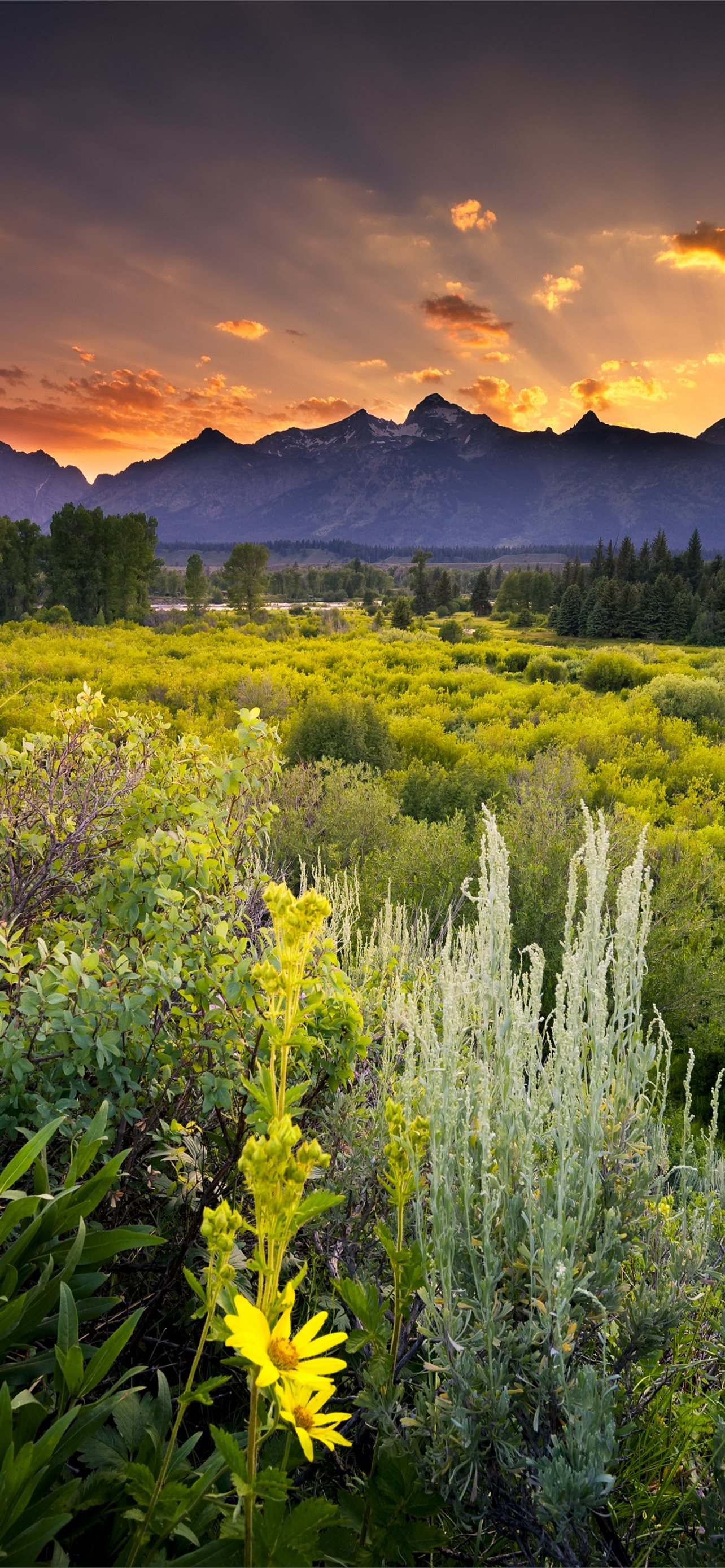 Grand Teton National Park 5K Wallpapers