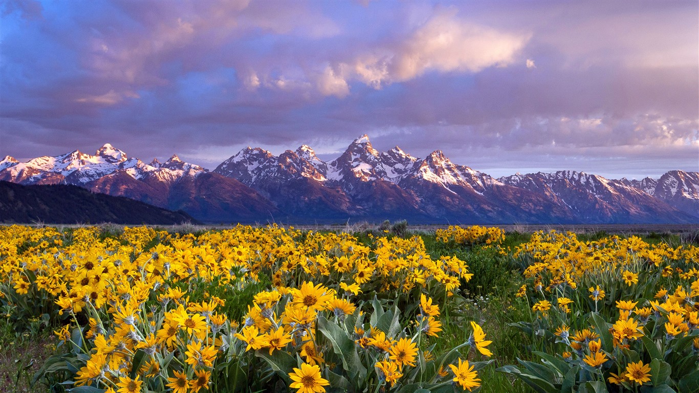 Grand Teton National Park 5K Wallpapers