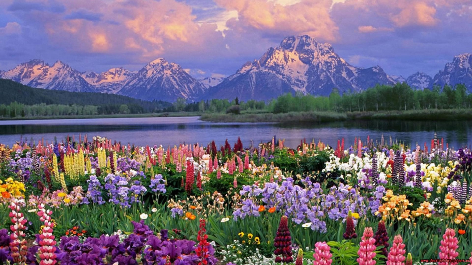 Grand Teton National Park Wallpapers