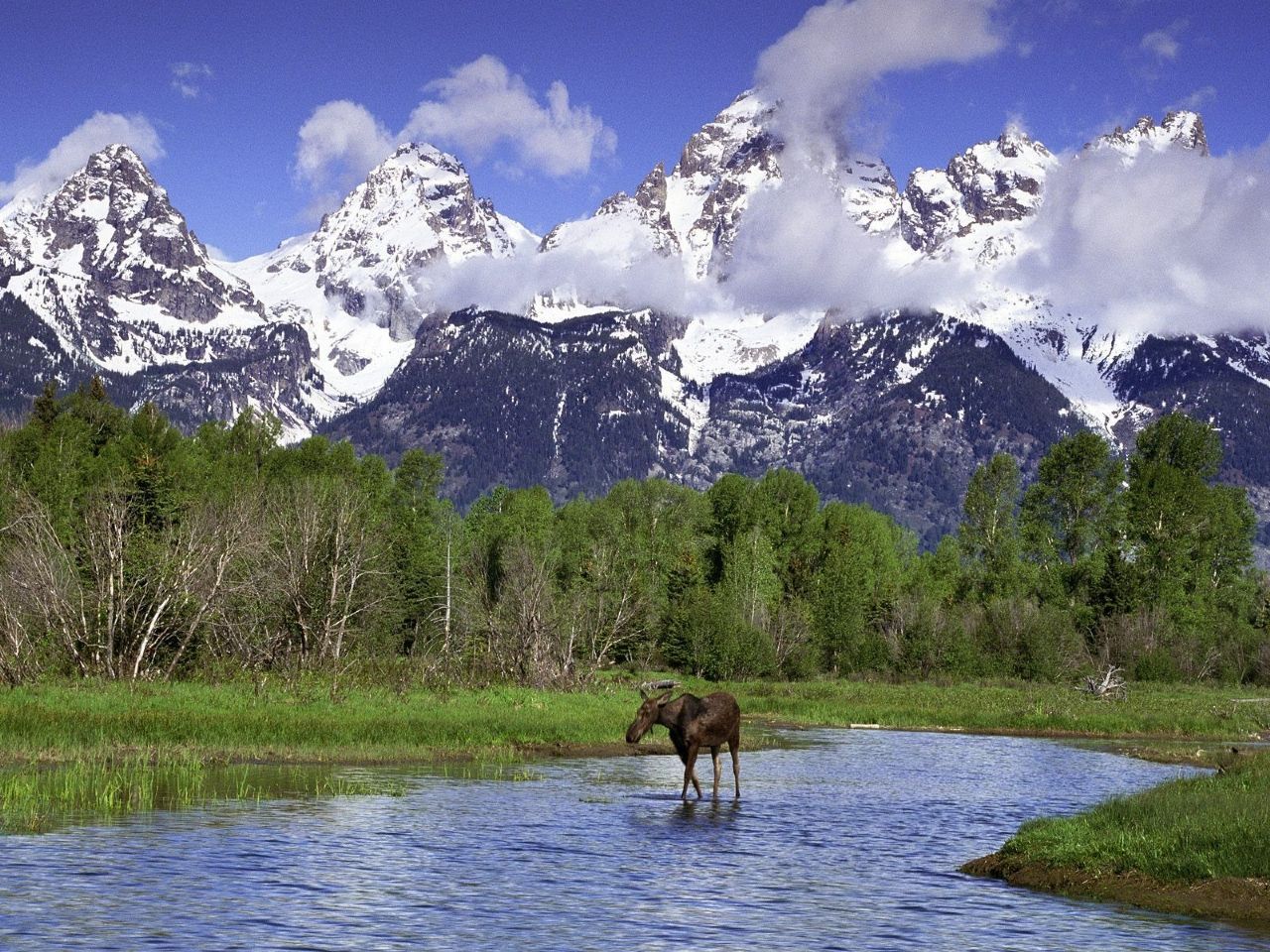 Grand Teton National Park Wallpapers