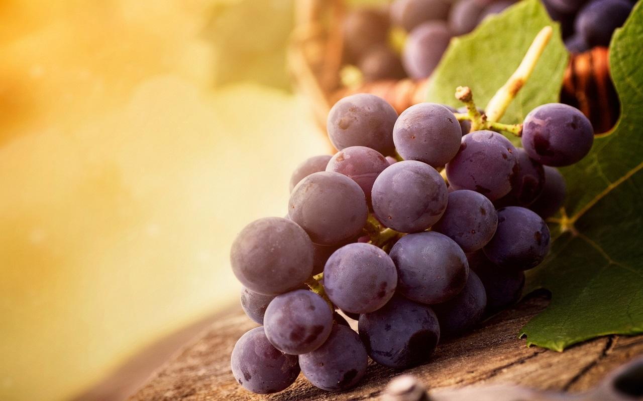 Grapes Wallpapers