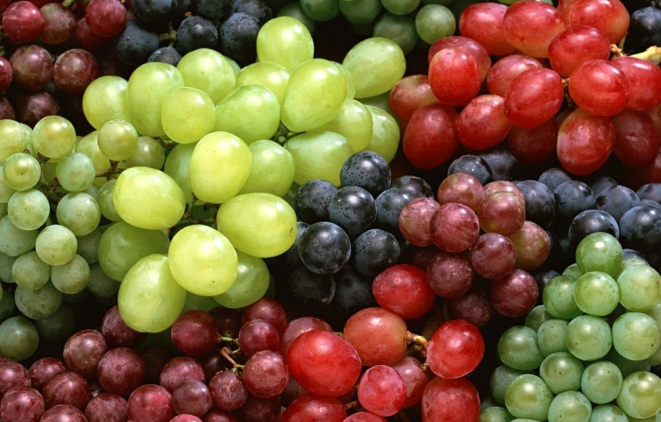Grapes Wallpapers