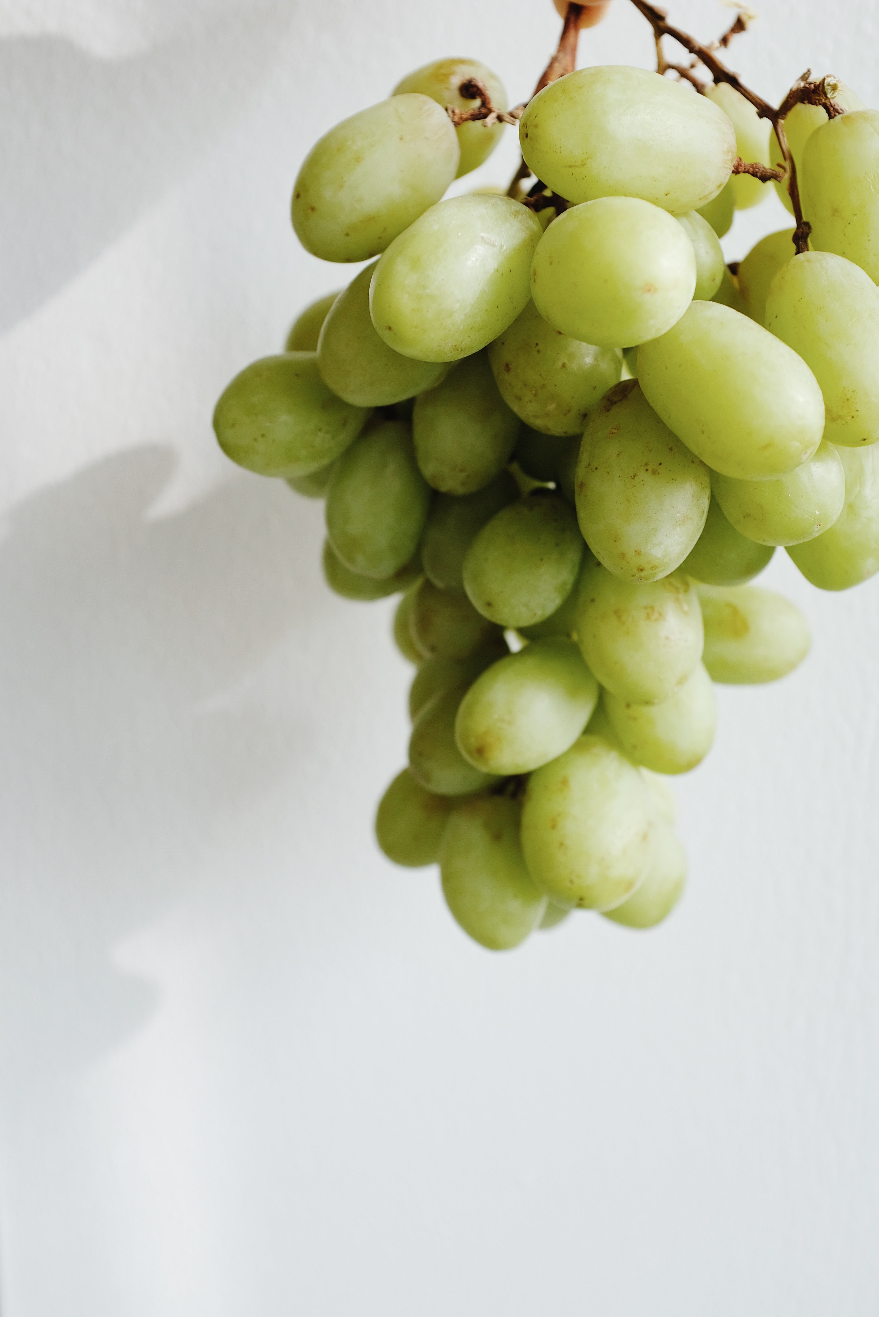 Grapes Wallpapers