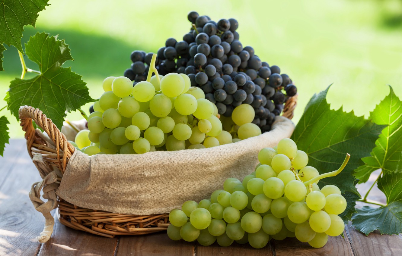 Grapes Wallpapers