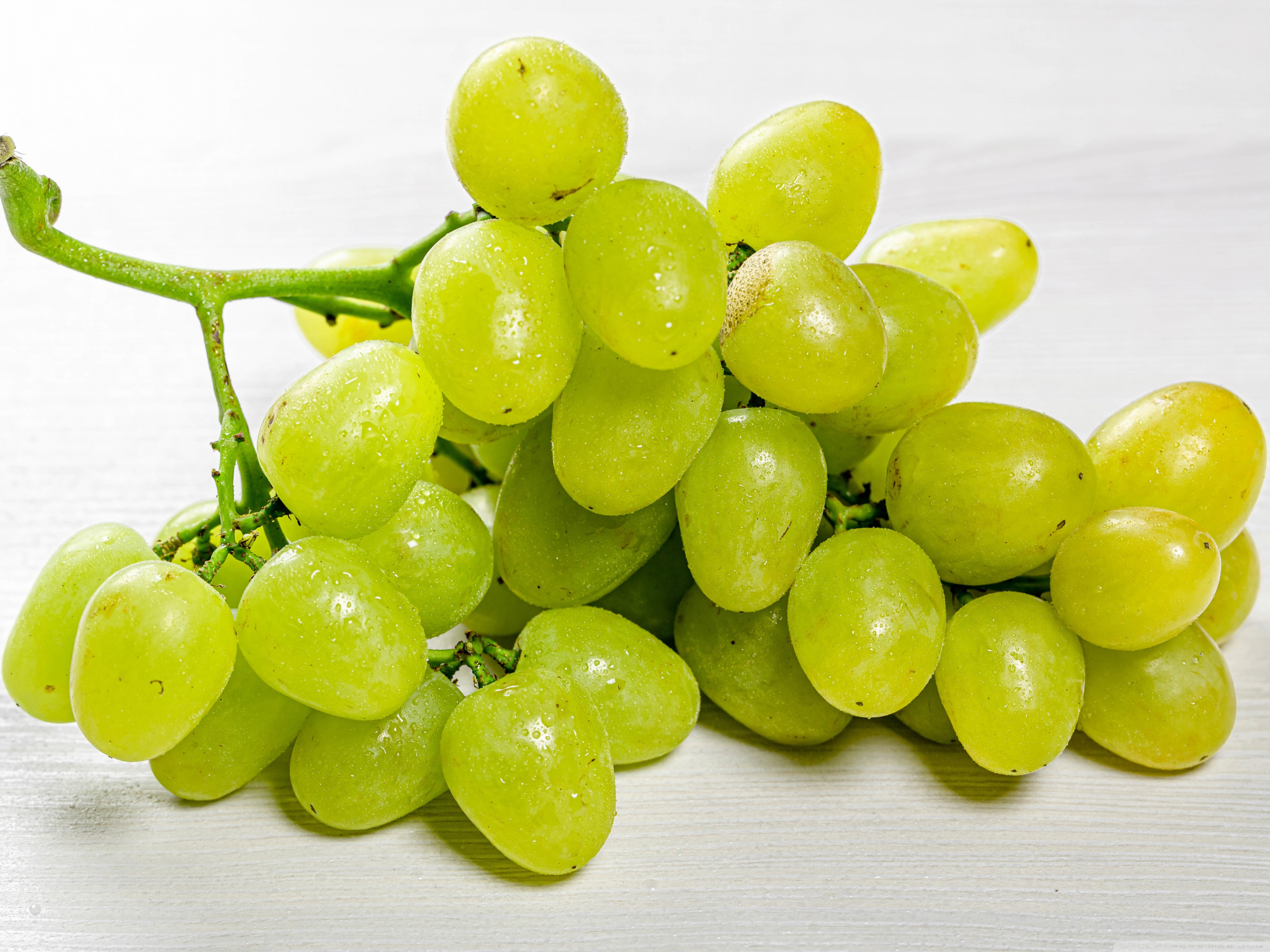 Grapes Wallpapers