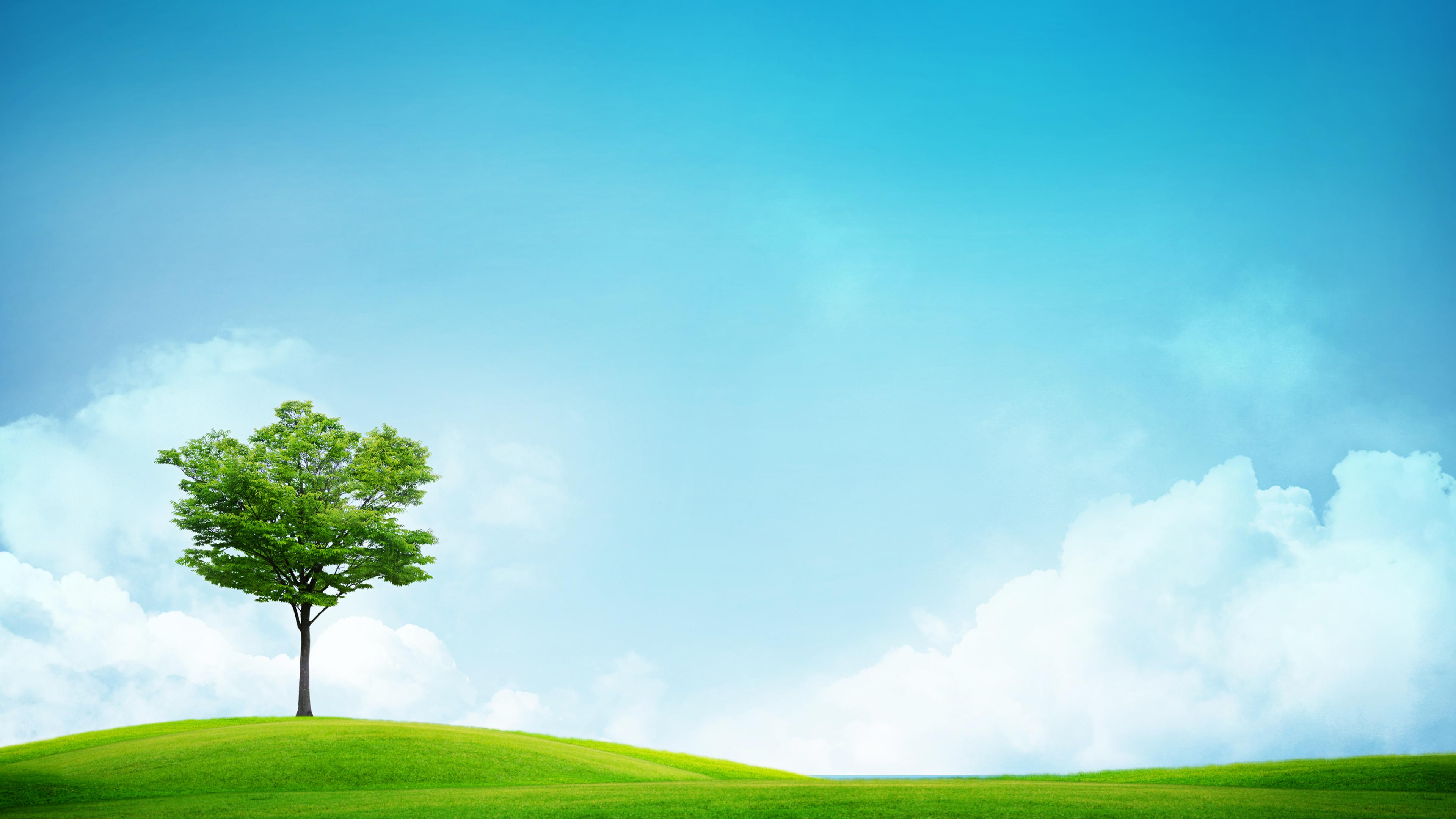 Grass And Sky Wallpapers