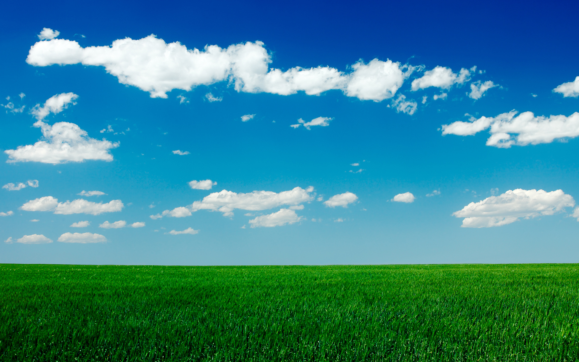 Grass And Sky Wallpapers