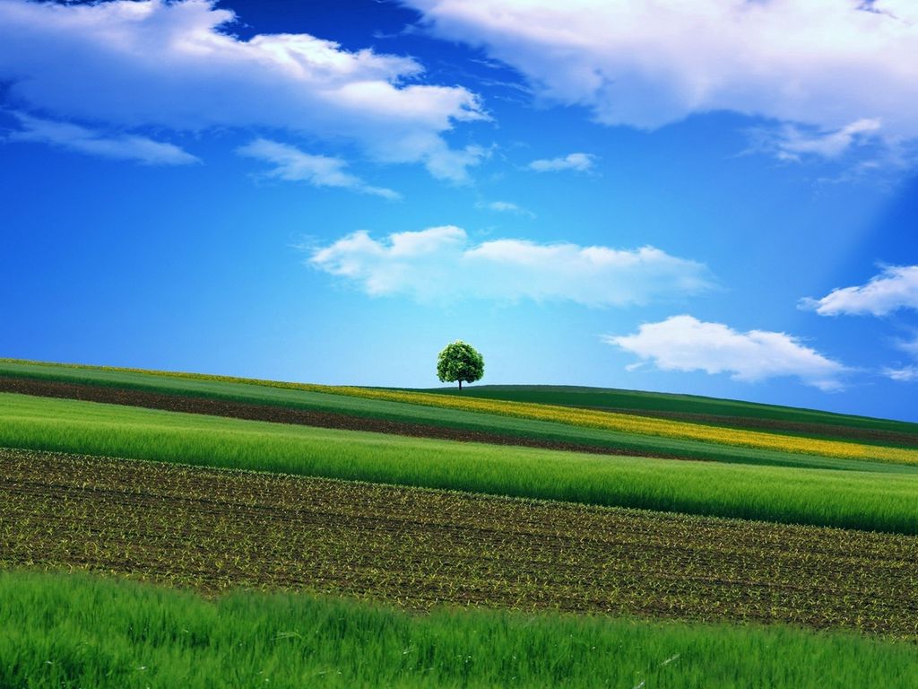 Grass And Sky Wallpapers