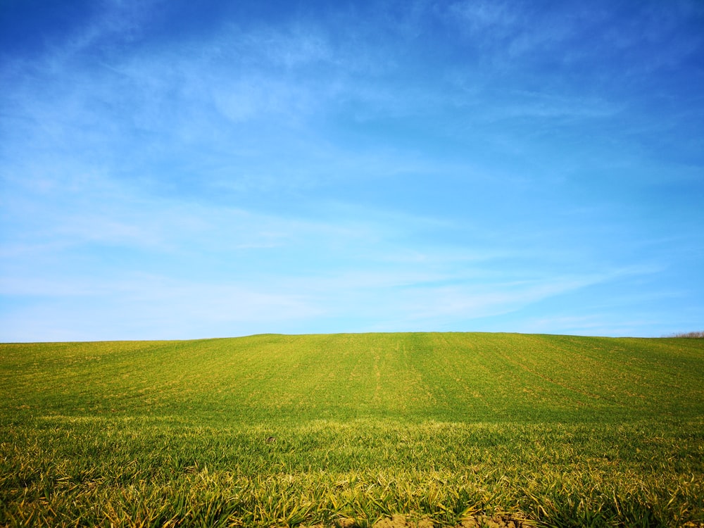 Grass And Sky Wallpapers