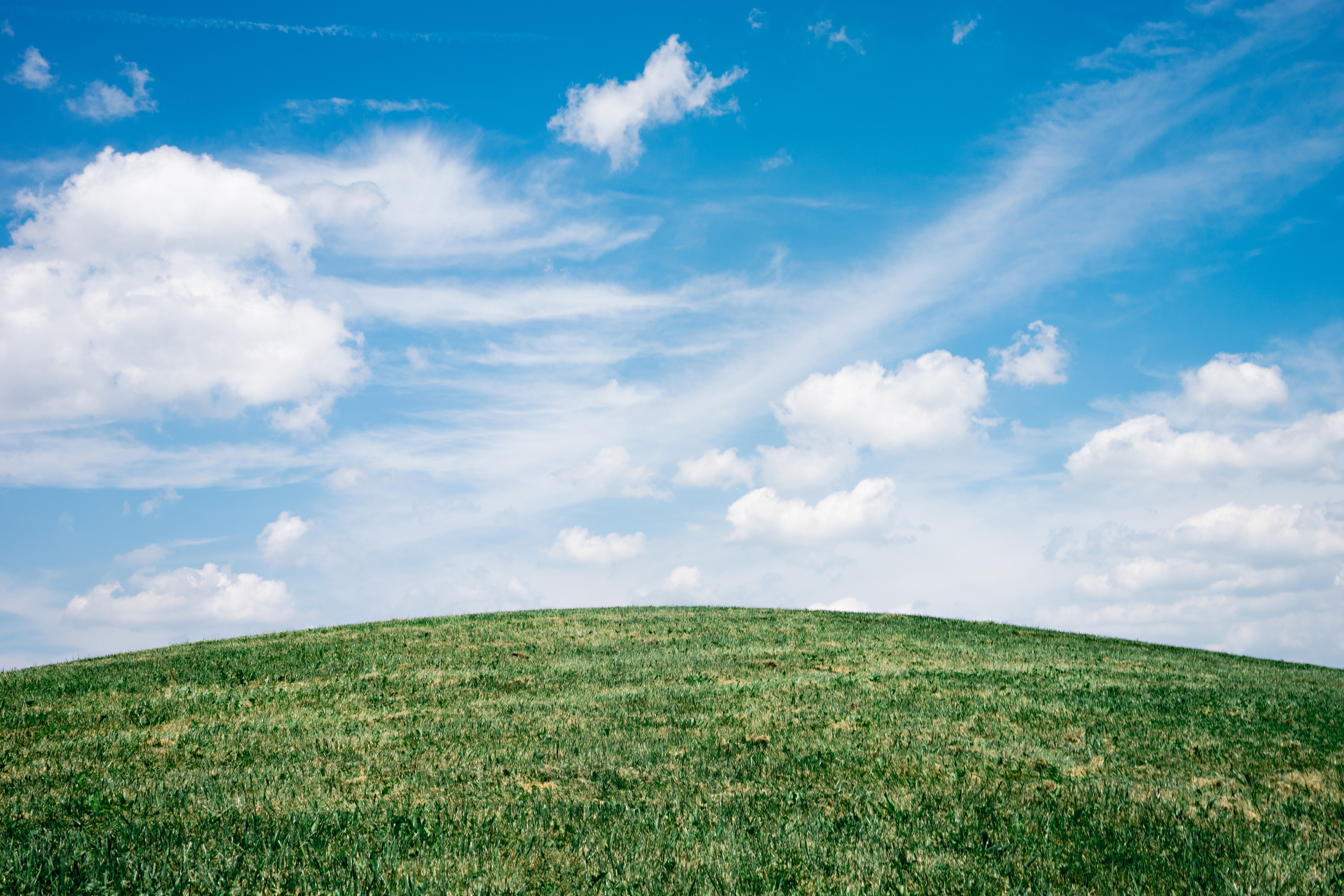 Grass And Sky Wallpapers