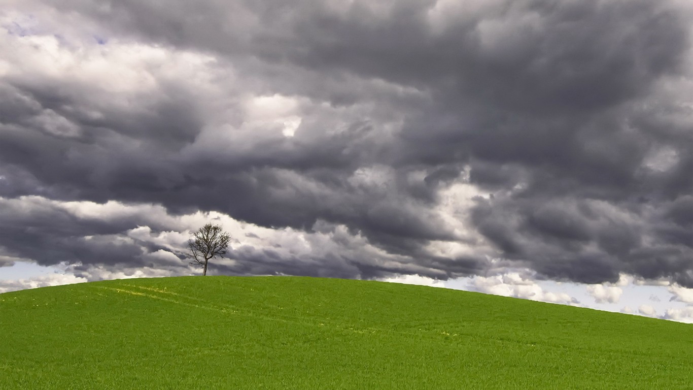 Grass And Sky Wallpapers