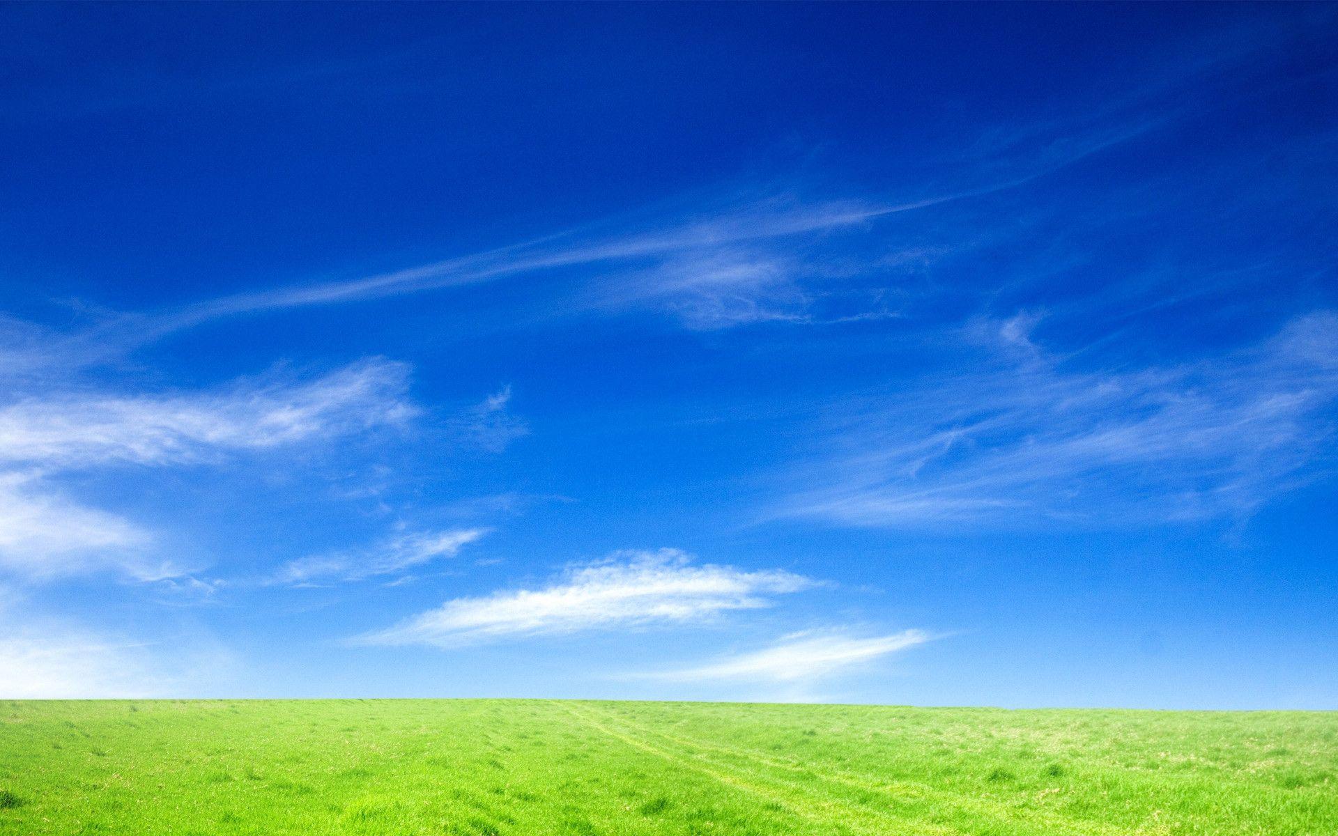 Grass And Sky Wallpapers