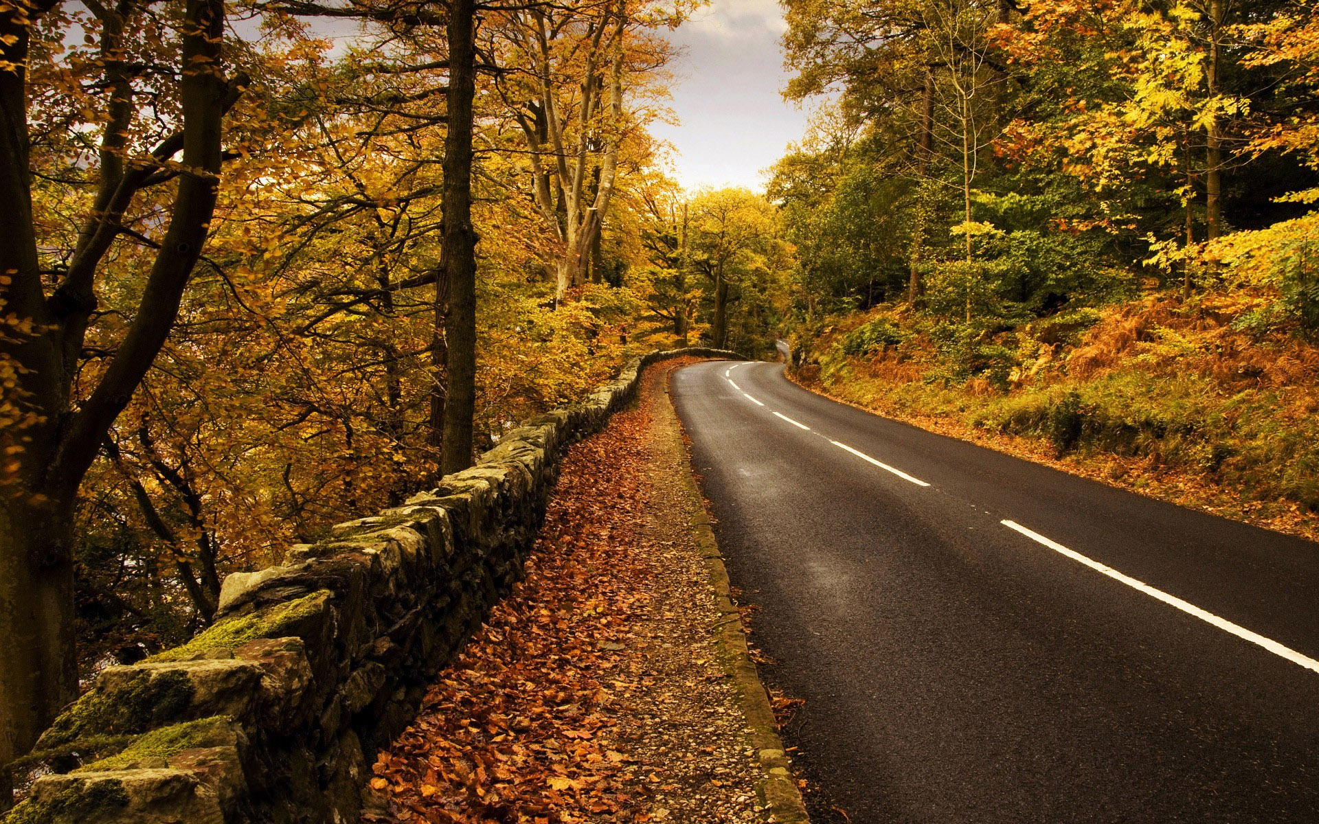 Grass Covered Mountain Road Wallpapers