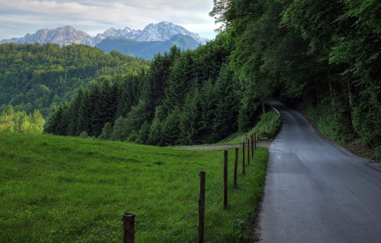 Grass Covered Mountain Road Wallpapers