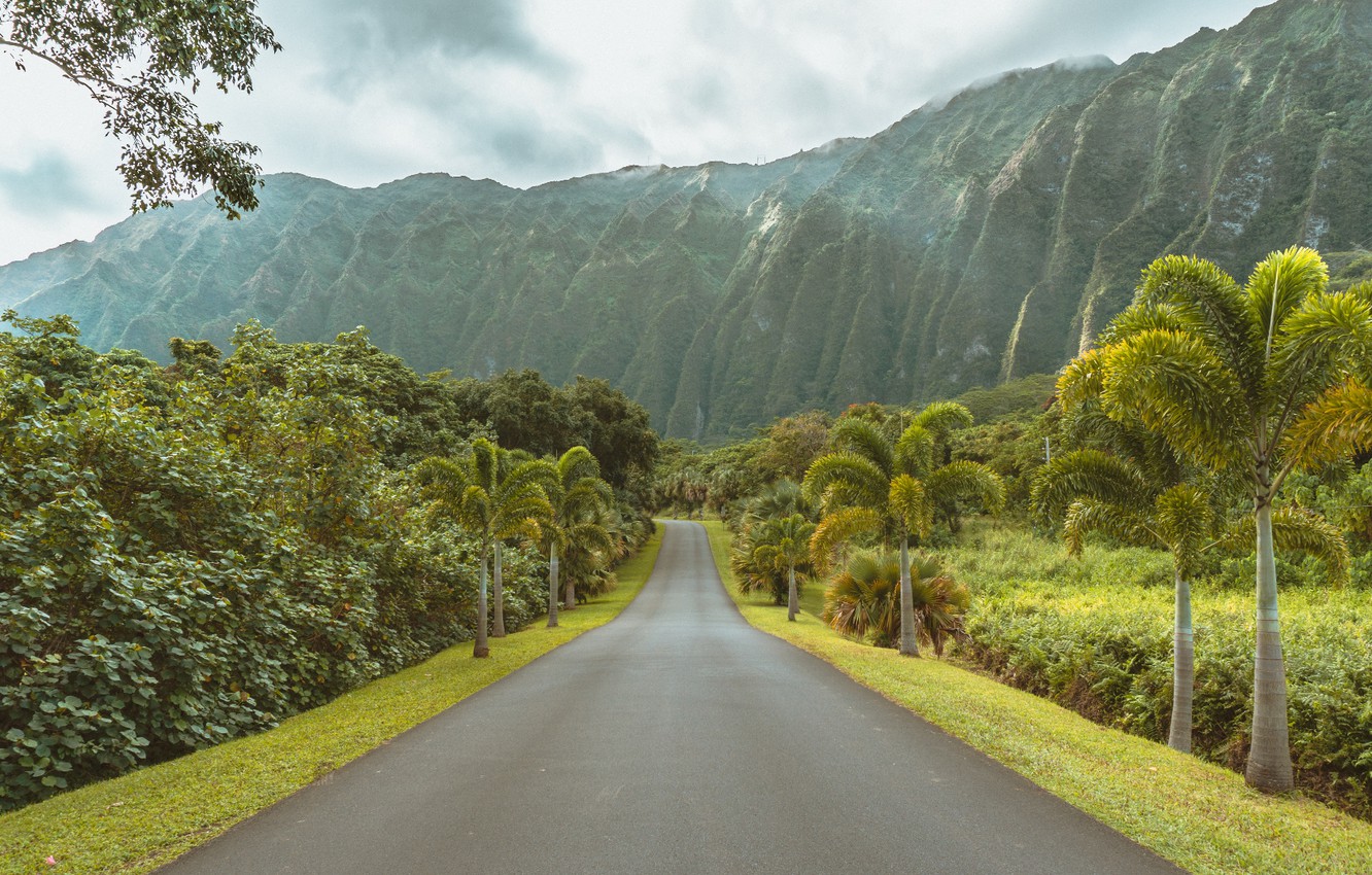 Grass Covered Mountain Road Wallpapers