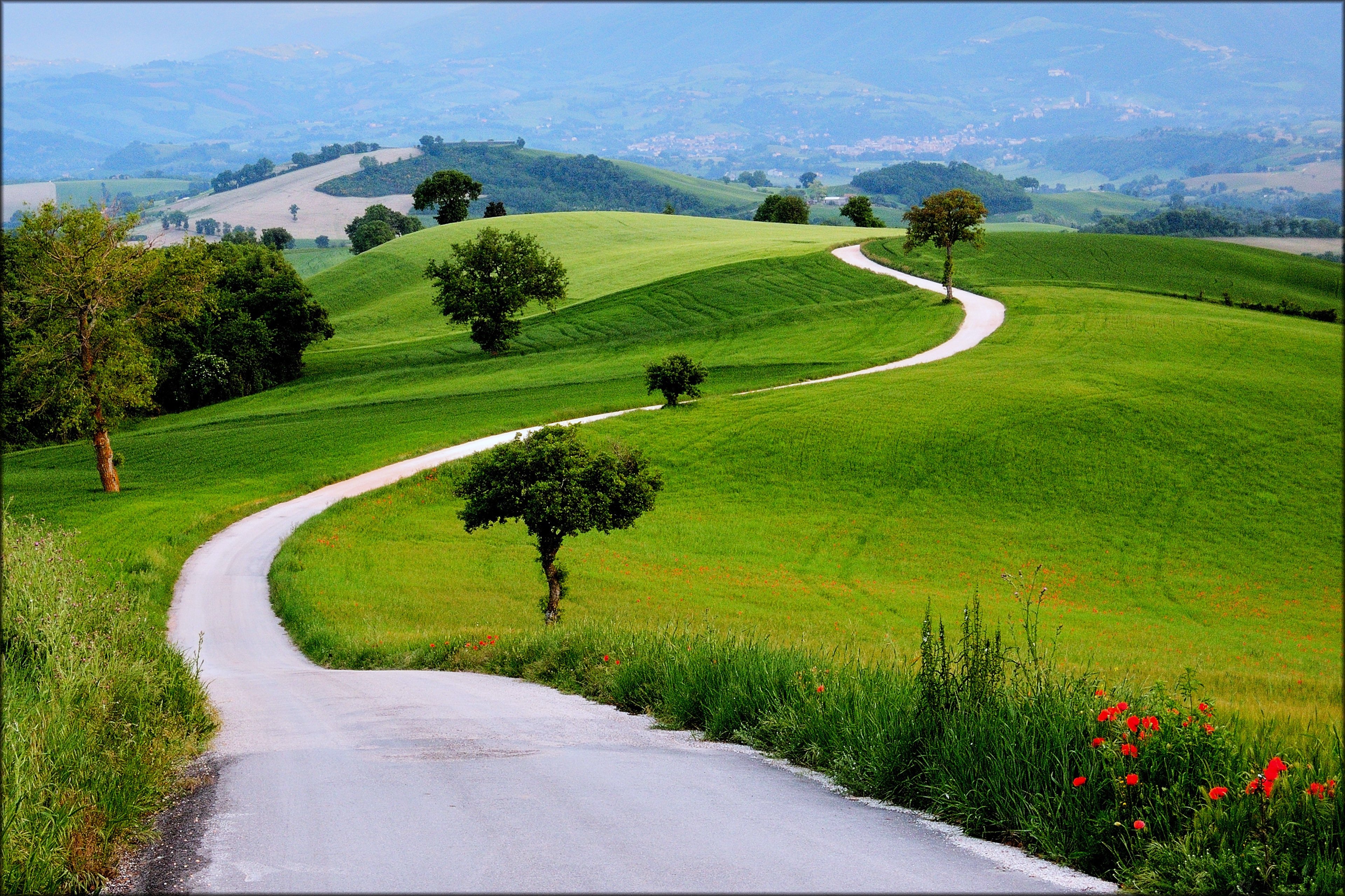 Grass Covered Mountain Road Wallpapers