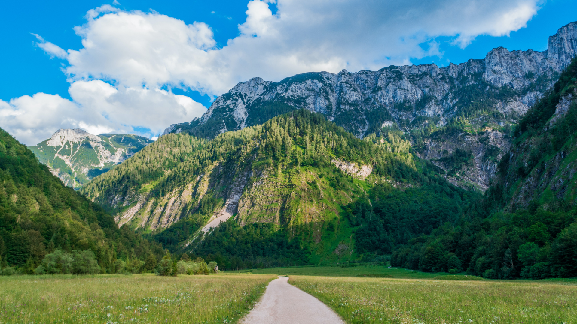 Grass Covered Mountain Road Wallpapers