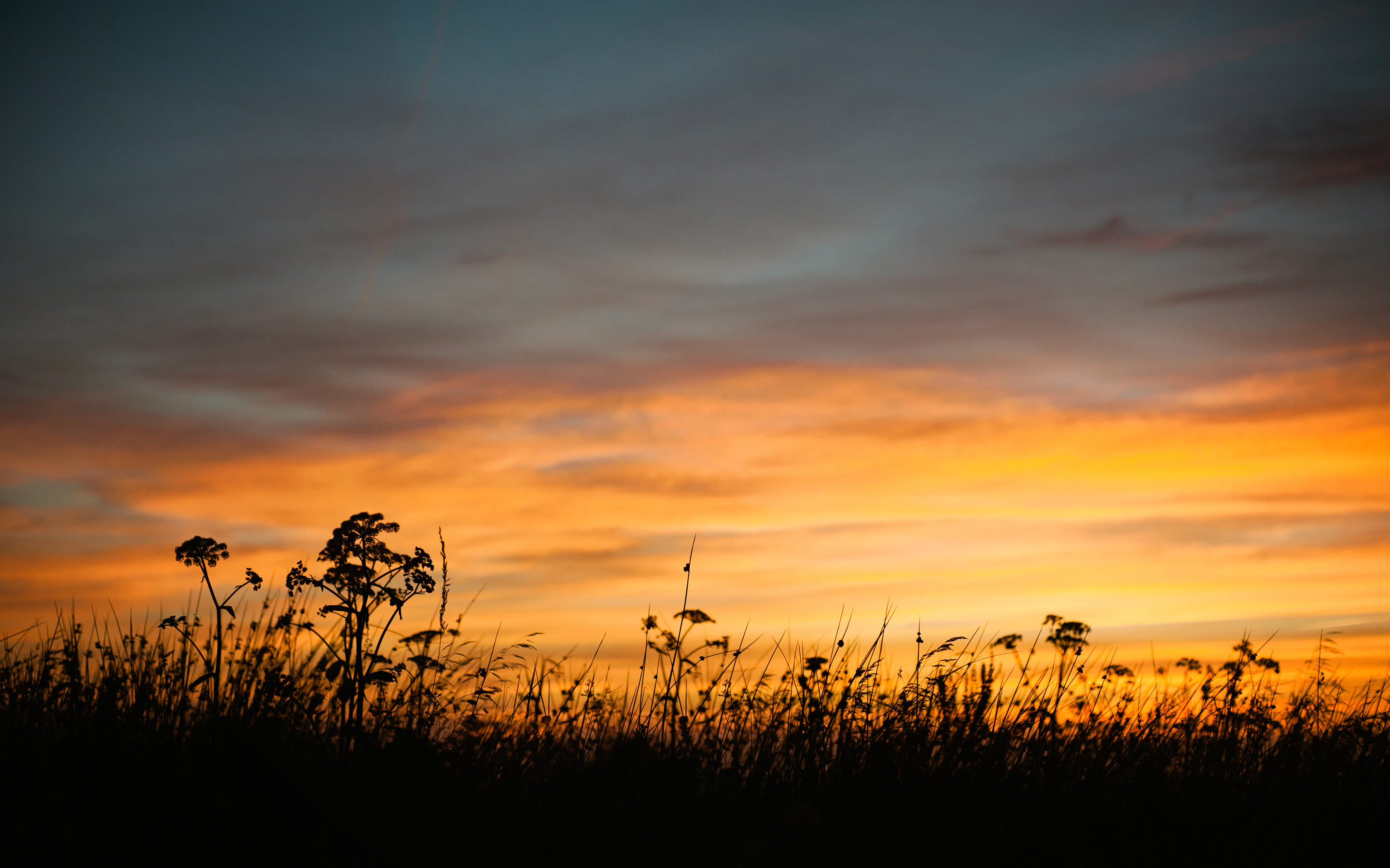 Grass Sunset Wallpapers