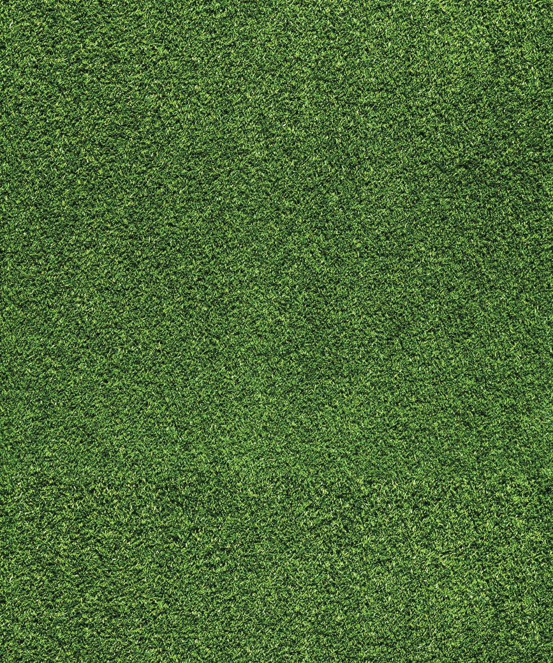 Grass Wallpapers