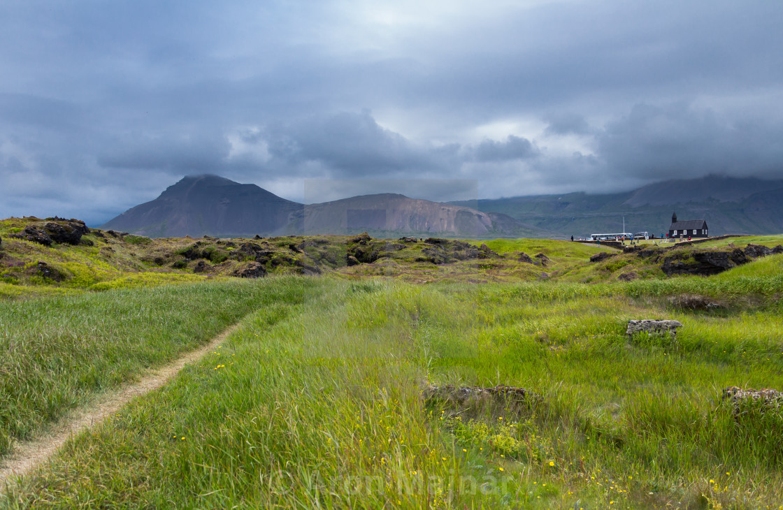 Grassy Field Background